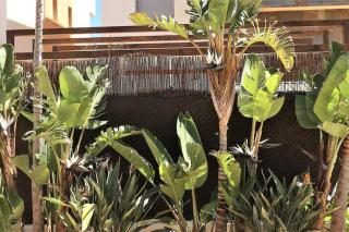 Chill out ground floor apartm +private garden+WIFI - Retamar - 4