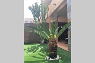 Chill out ground floor apartm +private garden+WIFI - Retamar - 1