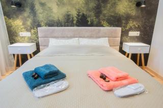 Central and Relaxing apartment - Druskininkai - 4