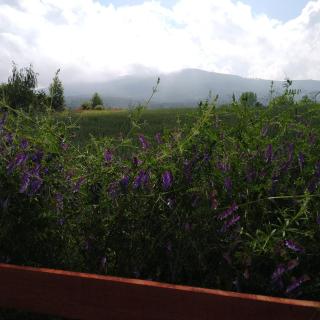 Domek w Białej - Bławatek - 7