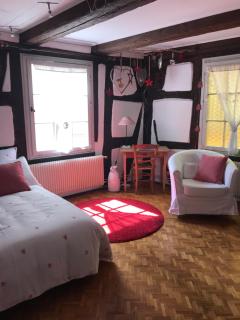 Gîte Au Fil Du Temps - Colmar - 7