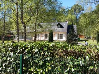 B&B La Forêt de Charmeuse - Ruaudin - 6
