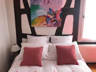 Gîte Au Fil Du Temps - Colmar - 5