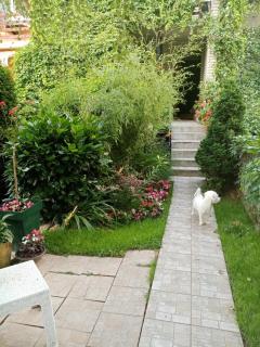 DUŠICA APARTMANI - Jagodina - 3