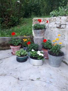 Il Noccioletto - Mombaruzzo - 3