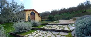 Agriturismo Fiordaliso - Trevi - 5