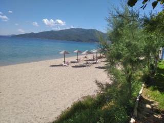 Angie's Summertime - 6