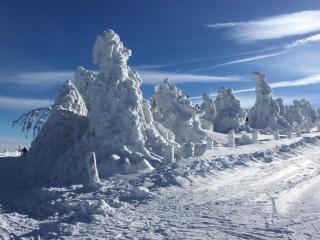 DIREKT AM SKIHANG! Müller Ferienwohnungen - 3