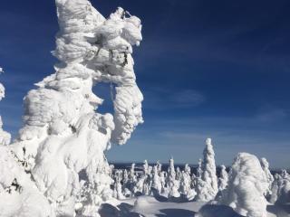 DIREKT AM SKIHANG! Müller Ferienwohnungen - 2