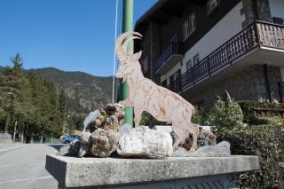 Hotel Des Alpes - 5