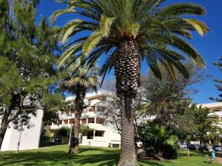 Lagos Beach Apartment - 1