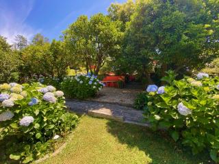 Vale da Silva Villas - Homes - Albergaria-a-Velha - 1