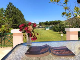 Luxury 6BR Villa, Garden Oasis, near Schinia Beach - 0