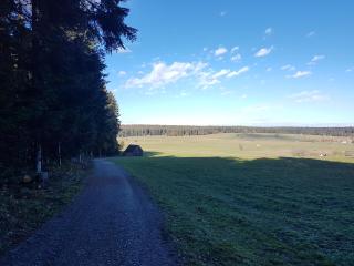 Ferienwohnung im Schwarzwald Oberwiesenhof - 1