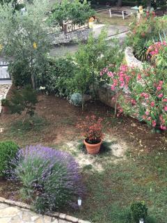 Apartmani Misic - Ždrelac - 3