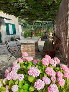 Apartma Fiorina - Sečovlje - 3