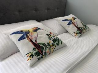 Przytulny Apartament Dębina - Debina - 5