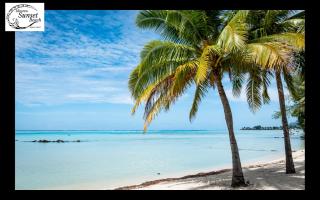 Moorea Sunset Beach - Haapiti - 1