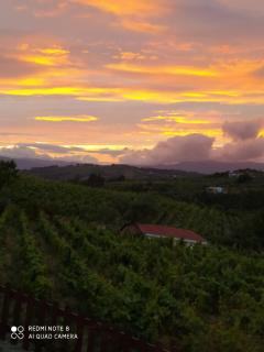 Casa das Vinhas Velhas by Casa do Poço - Peso da Régua - 1