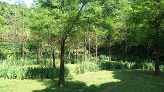 Rainbow Bridge B&B - Sanzhi - 2
