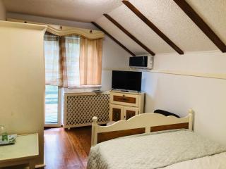 Vila Horia Bradet - Săcele - 1