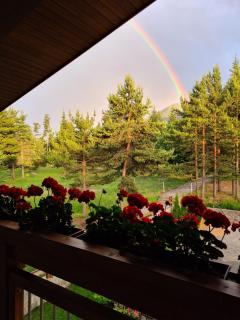 Horse Riding Club Pirin - 4