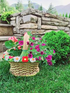 Horse Riding Club Pirin - 6