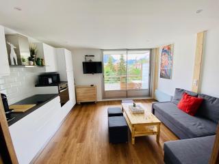 Appartement au pied des pistes - White Wonderland - Les Deux Alpes - 0