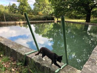 Quinta das Uchas - São Pedro do Sul - 6