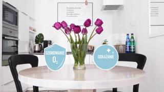Apartament Arkadia na Kazimierzu - Krakow - 8