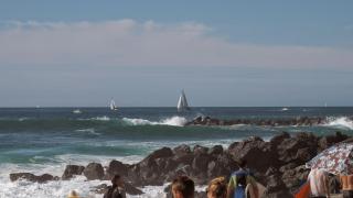 magnifique appartement Capbreton - Capbreton - 2