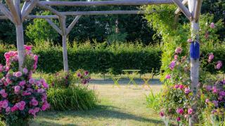 Au Manoir des Loges - Quettreville-sur-Sienne - 4