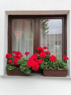 House Jezerka - Jezerce - 5