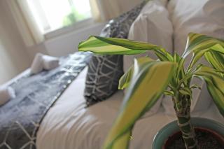 Recently Refurbished 3 Bedroom Home with Parking - Perfect for Longstays - Sleeps 8 - Chester - 5