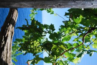 Bed and Breakfast Da Claudio - 4