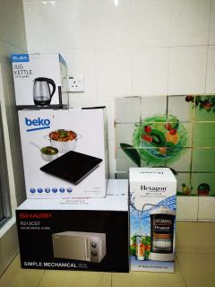 Bidor Totoro and One piece animation house - Kampong Kuala Gepal - 2