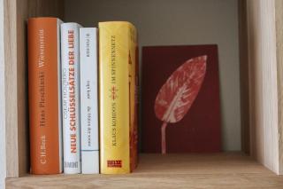 Das Kornburg-Quartier - 1