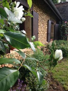 Ma maison de couture - 2