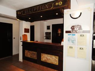 Ema Hotel Bansko - 8