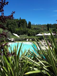 Agriturismo La Rocca - Bardolino - 9