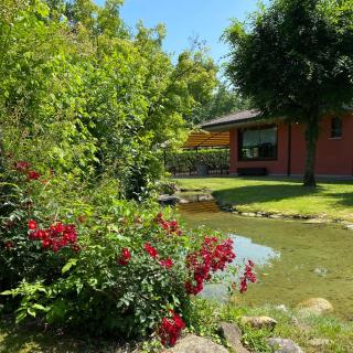 Il Leone D'Oro - Telgate - 4
