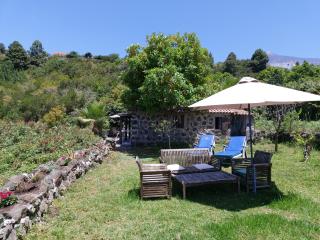Finca Cueva del Viento - 8