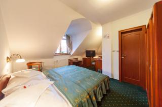 AGH Hotel - Rožnov pod Radhoštěm - 9