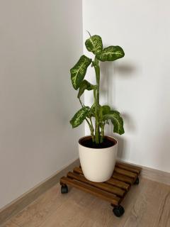 Take Timisoara Apartment - 4