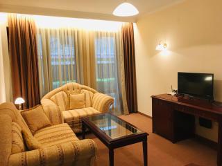 Luxury Downtown Apartment - Gondola - Bansko - 9