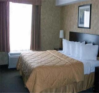 Comfort Inn - Sturgeon Falls - 9