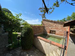 Gite Les Buis de Saint Martin - Marssac-sur-Tarn - 8