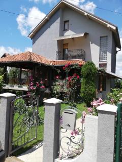 Đokić apartmani - Soko Banja - 9