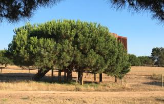 Tres Marias - Vila Nova de Milfontes - 2