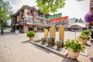Sun Bird Getaway - Ketchum - 8